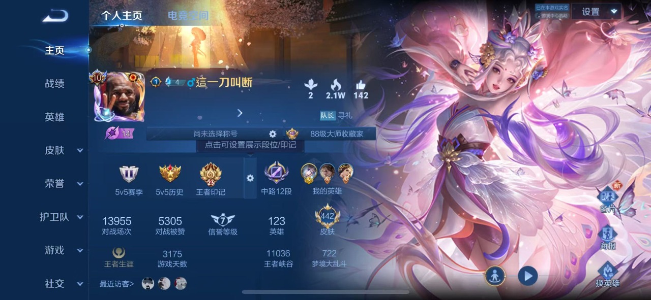WZQM3147872王者荣耀账号详情图2 WZQM3147872王者荣耀账号详情图2