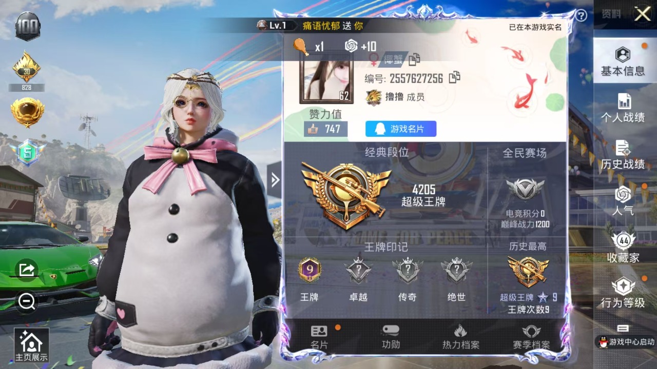 HPQM3251955和平精英账号详情图18 HPQM3251955和平精英账号详情图18