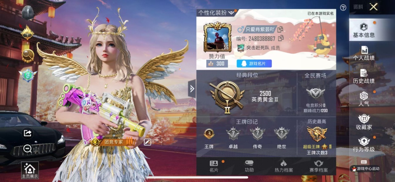 HPQM3257557和平精英账号详情图21 HPQM3257557和平精英账号详情图21