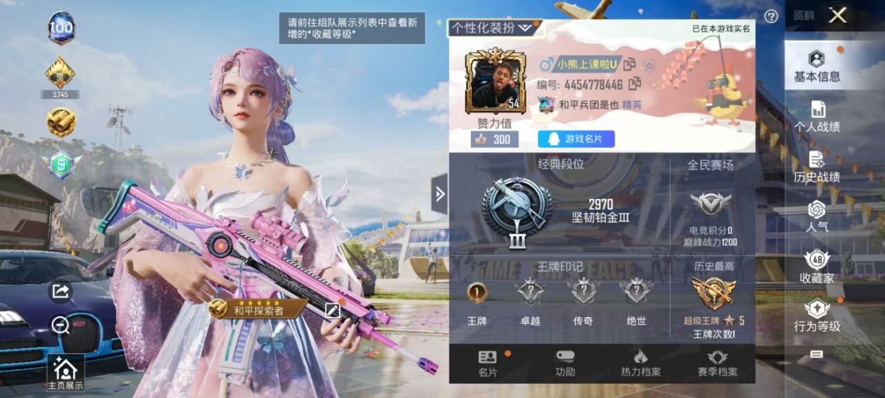 HPQM3258258和平精英账号详情图14