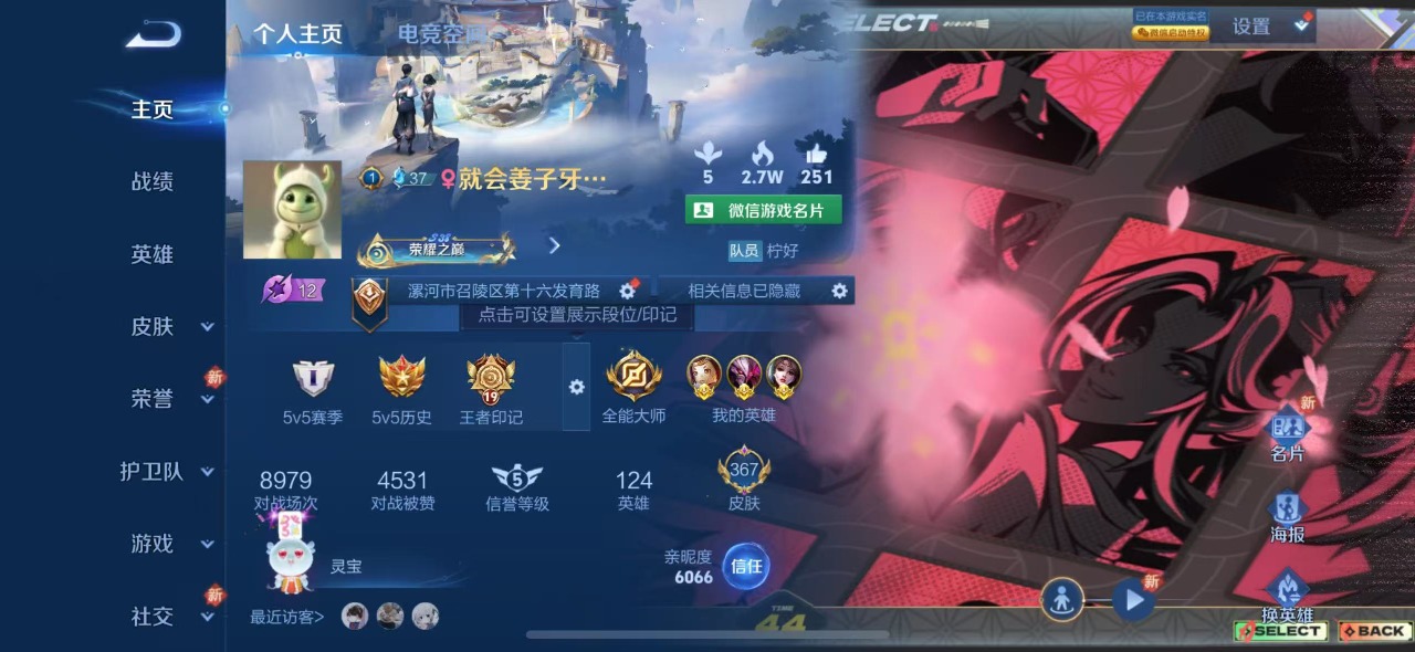 WZQM3160695王者荣耀账号详情图2 WZQM3160695王者荣耀账号详情图2