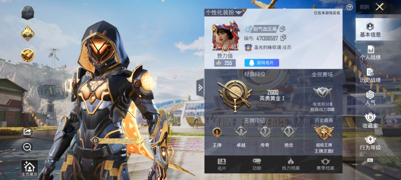 WZQM3150076王者荣耀账号详情图3 WZQM3150076王者荣耀账号详情图3