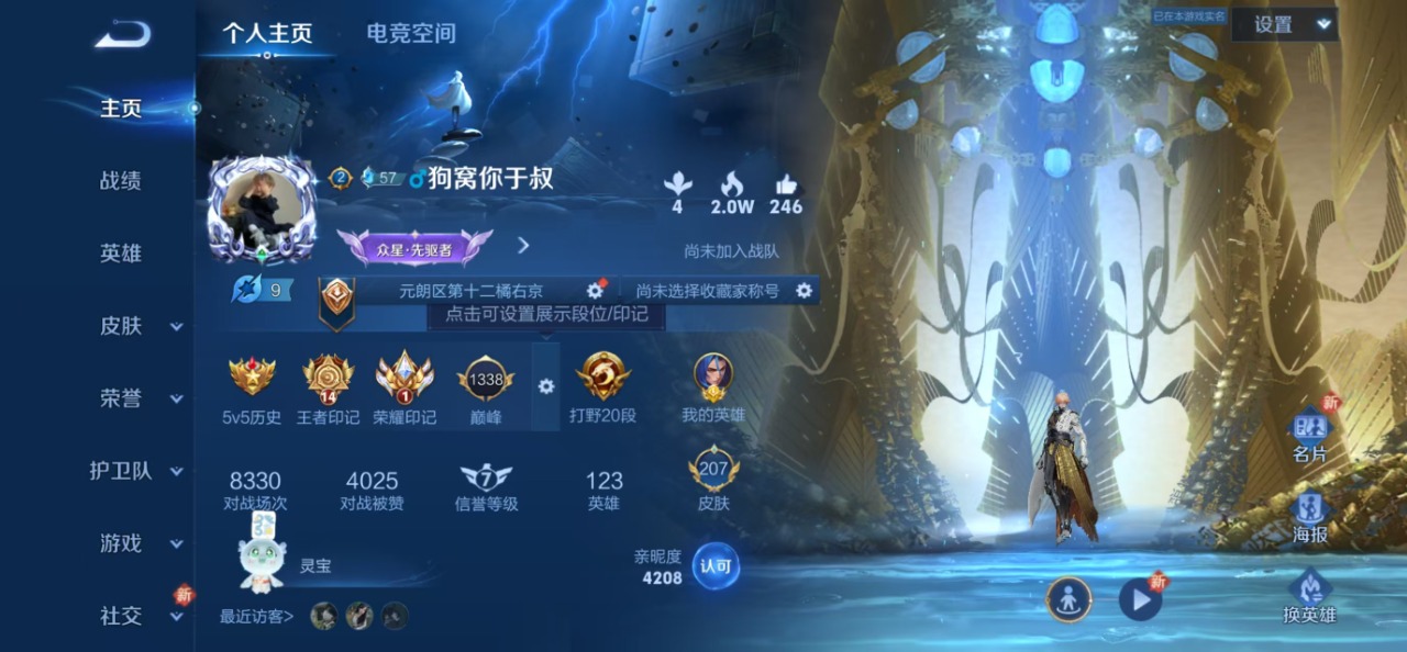 WZQM3147925王者荣耀账号详情图8 WZQM3147925王者荣耀账号详情图8