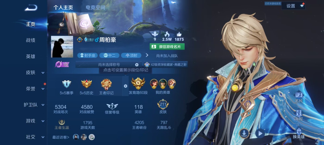 WZQM3160731王者荣耀账号详情图12