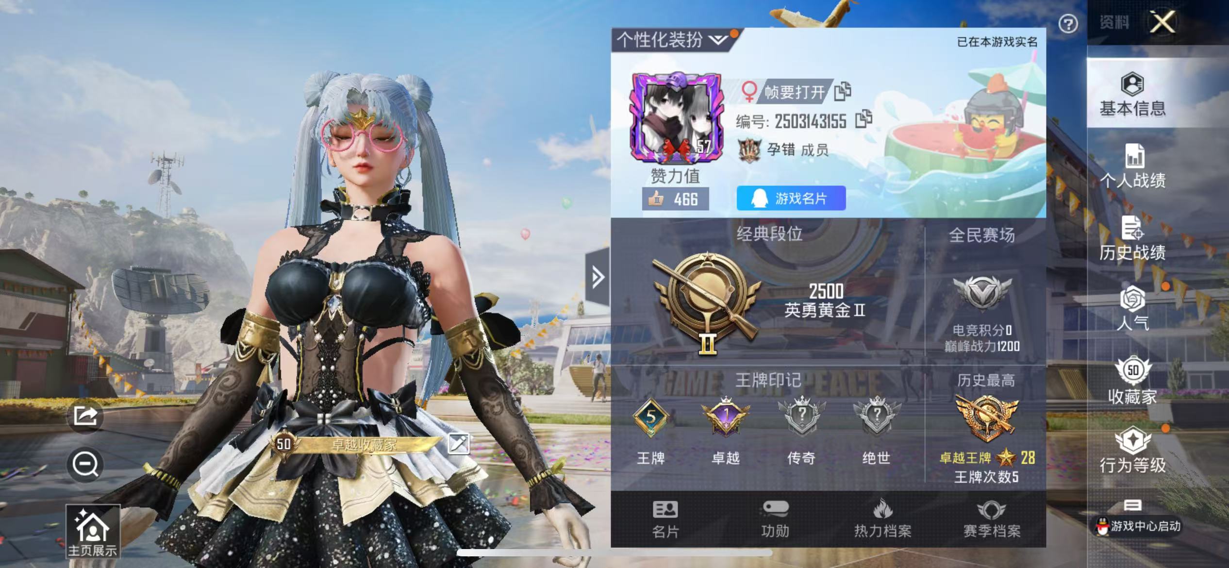 HPQM3255316和平精英账号详情图2