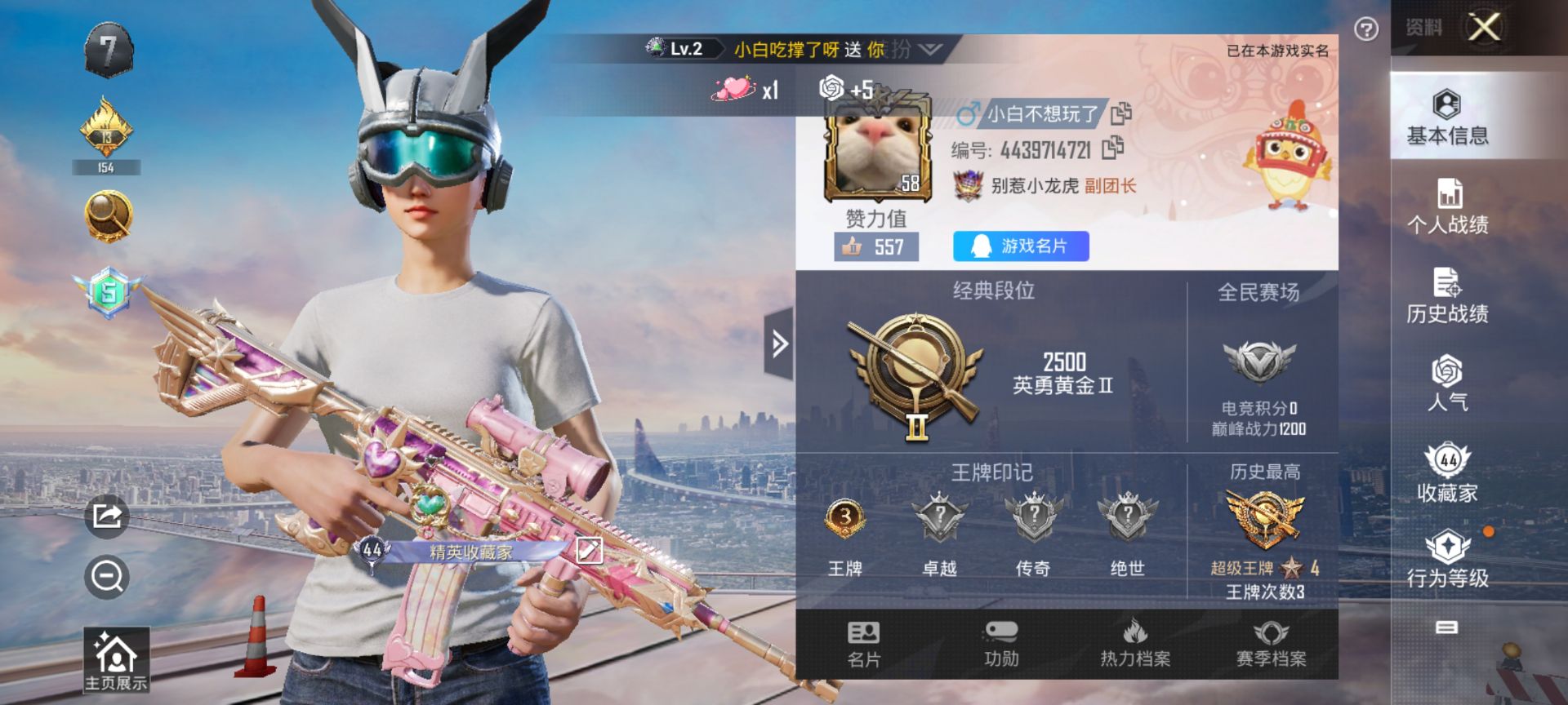 HPQM3245503和平精英账号详情图3 HPQM3245503和平精英账号详情图3