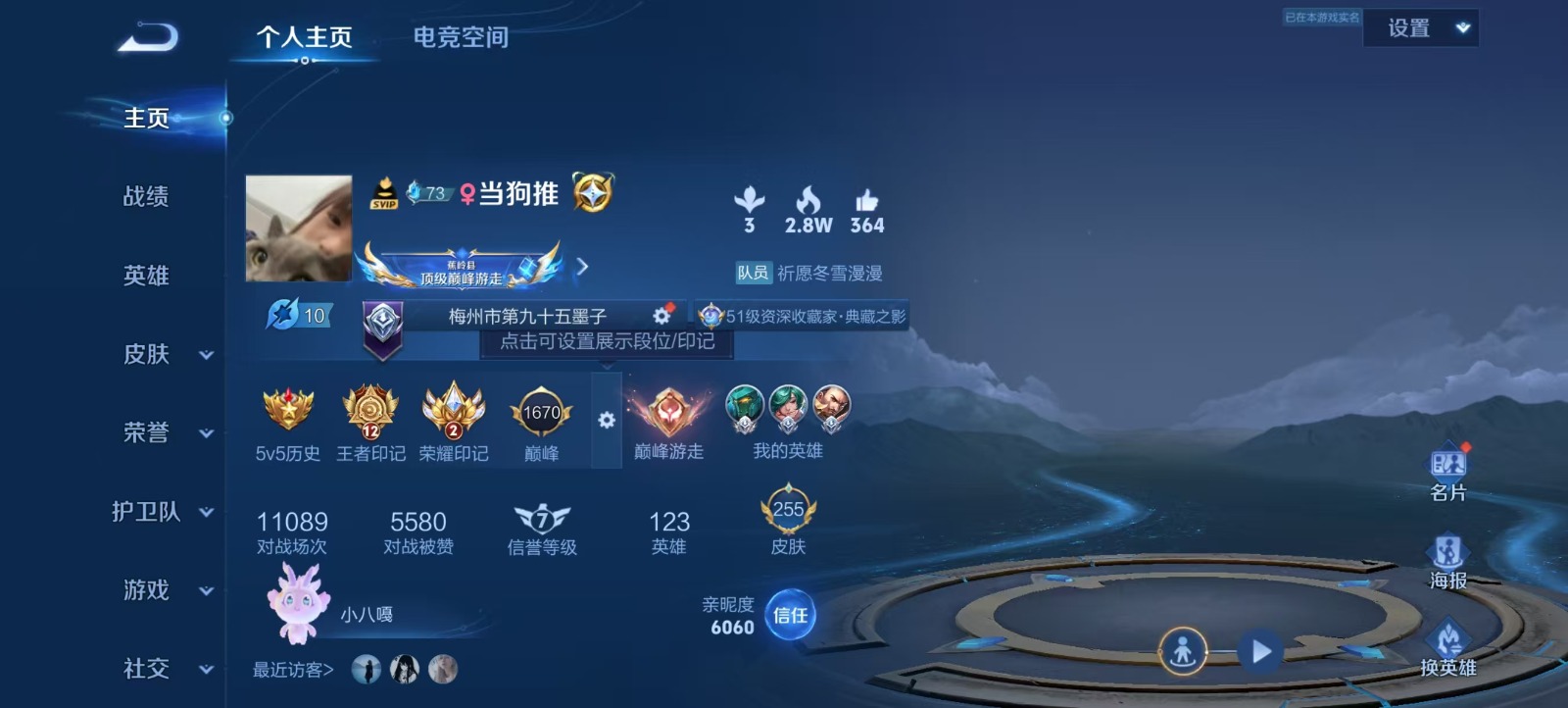WZQM3165308王者荣耀账号详情图13 WZQM3165308王者荣耀账号详情图13