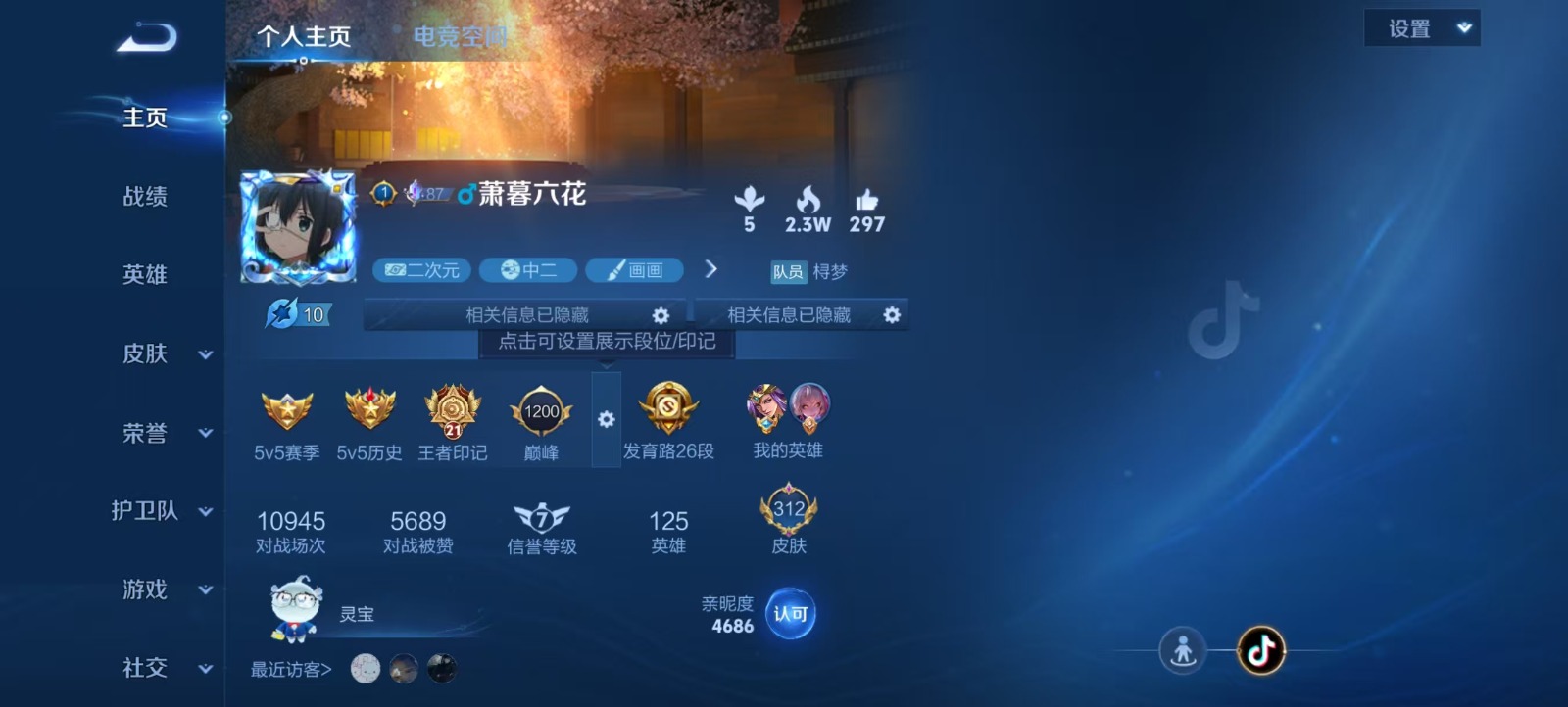WZQM3155443王者荣耀账号详情图14 WZQM3155443王者荣耀账号详情图14