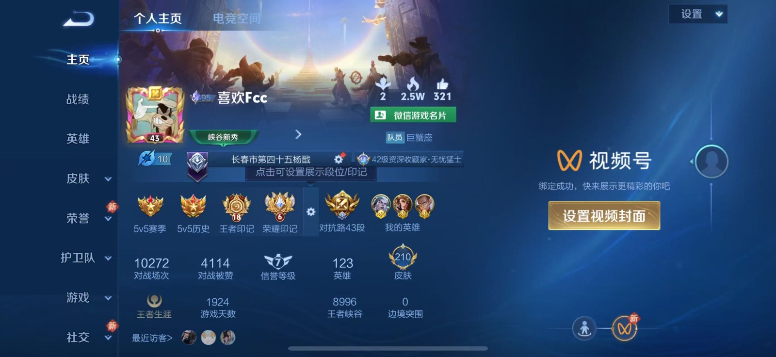 WZQM3159173王者荣耀账号详情图11