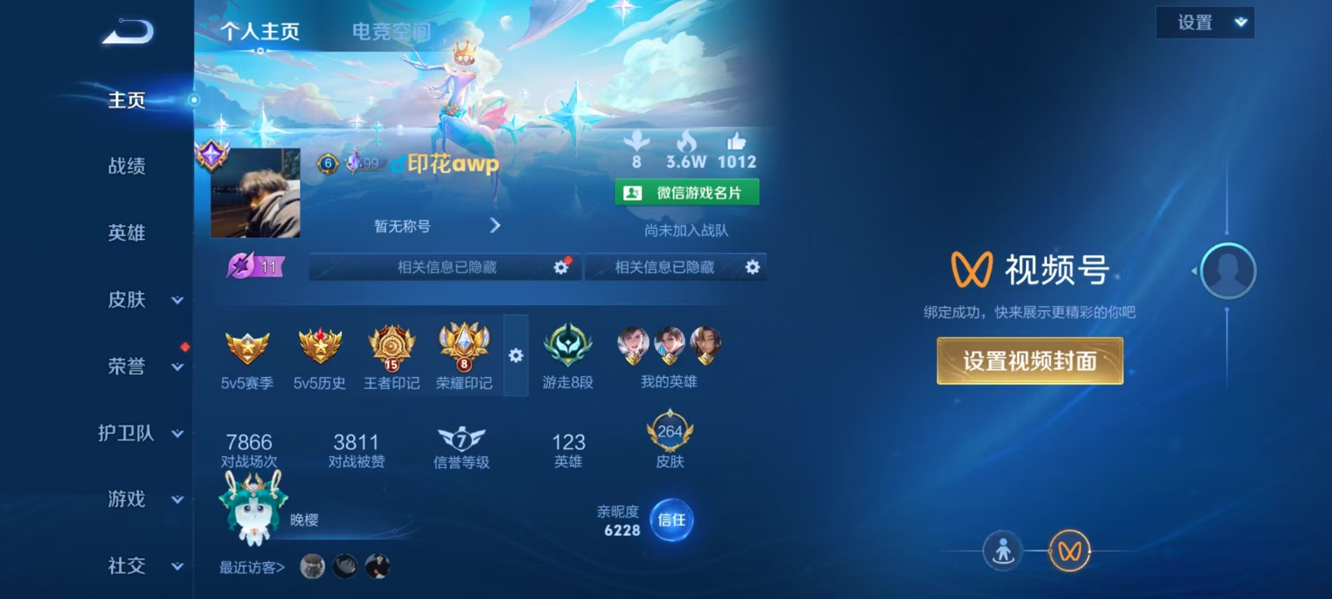 WZQM3163518王者荣耀账号详情图15 WZQM3163518王者荣耀账号详情图15