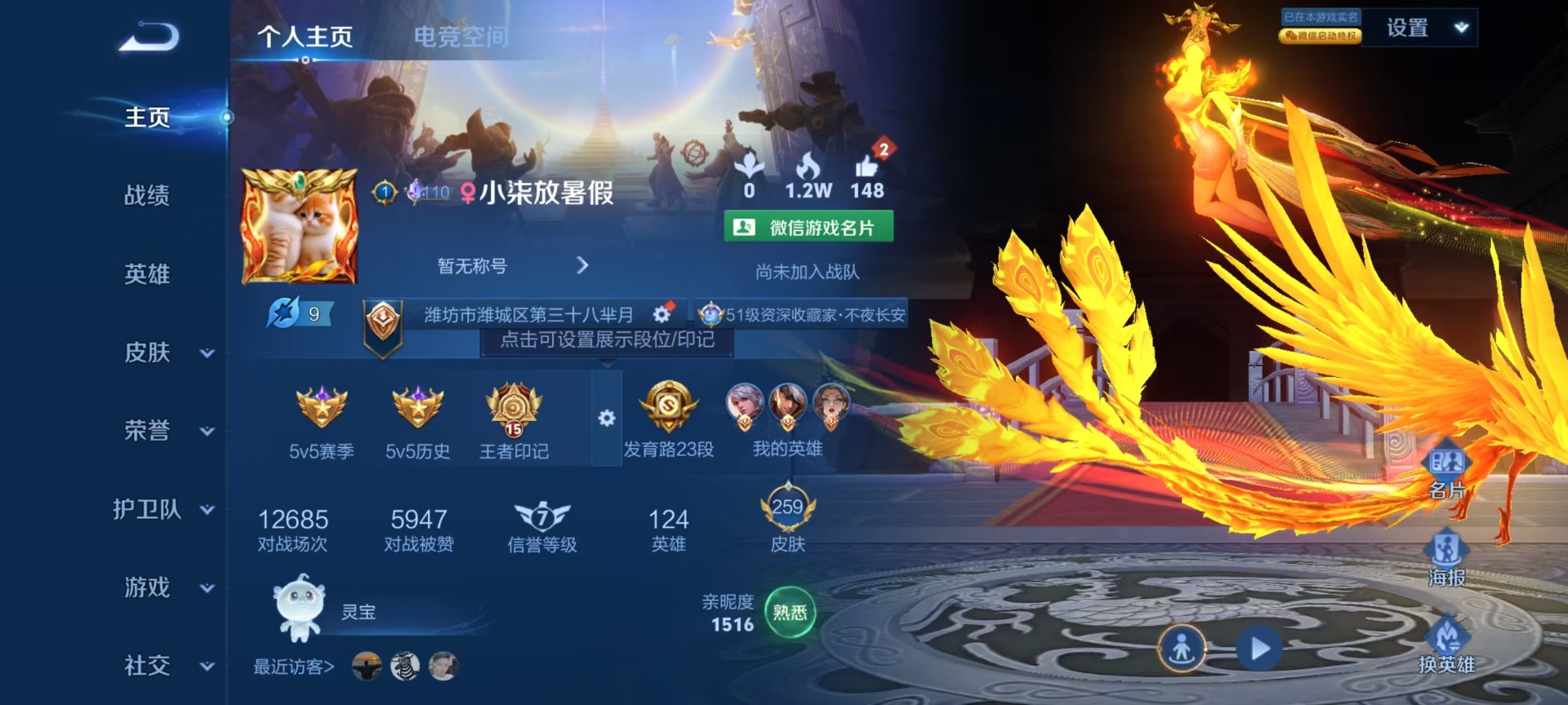 WZQM3161434王者荣耀账号详情图11